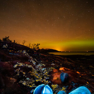 Musslor och stjärnhimmel 40x30cm
